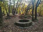 IMG_20251017_104818