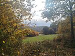IMG_20251017_104406