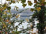 IMG_20251018_085935