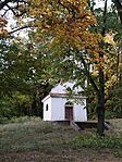IMG_20251018_163951