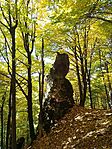 IMG_20251019_120015