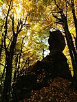 IMG_20251019_120043