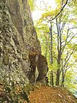 IMG_20251019_120135