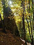 IMG_20251019_120313