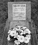 SallosGeza-sirja-Hodos_sb