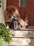 FB_IMG_1760870284296