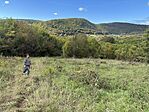 IMG_1591