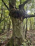 IMG_1592