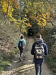 IMG_1611