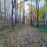 IMG_20251029_075426_241