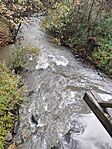 IMG_20251024_090037