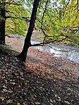 IMG_20251024_092324