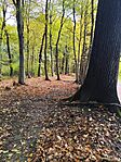 IMG_20251024_092330