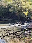 IMG_20251024_103642