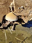 IMG_20251024_104041