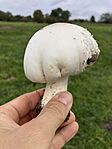 IMG_3024(1)
