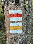 IMG_3282