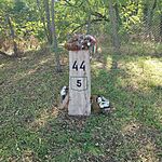 IMG_20251003_095516