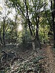 IMG_4750