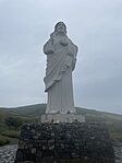 IMG_8593