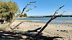 IMG_20251008_112605
