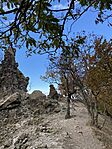 IMG_2677
