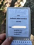 IMG_20251008_103833