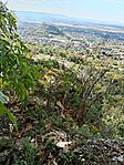 IMG_20251008_131634