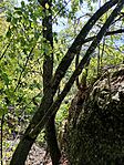 IMG_20251008_131958