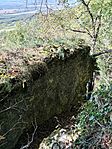 IMG_20251008_132027