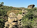 IMG_6422