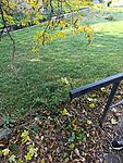 IMG_20251029_131230