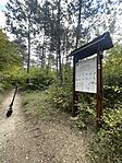 IMG_9908