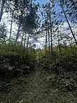 IMG_9909