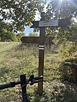 IMG_9910