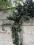 IMG_9847