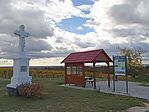IMG_20251028_103112.jpg