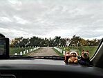 IMG_20251011_090449
