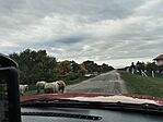 IMG_20251011_090704