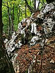 IMG_20251012_122802