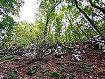 IMG_20251012_123203