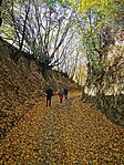 IMG_20251024_132150