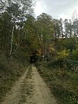 IMG_20251018_111813