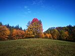 IMG_20251018_122856