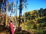 IMG_20251018_123902