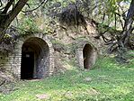 IMG_2209