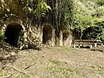 IMG_2210