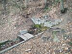 IMG_20251012_091954