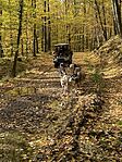 IMG_9001