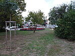DSC06168